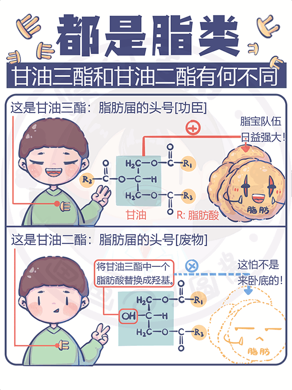 都是脂类甘油三酯和甘油二酯有何不同？